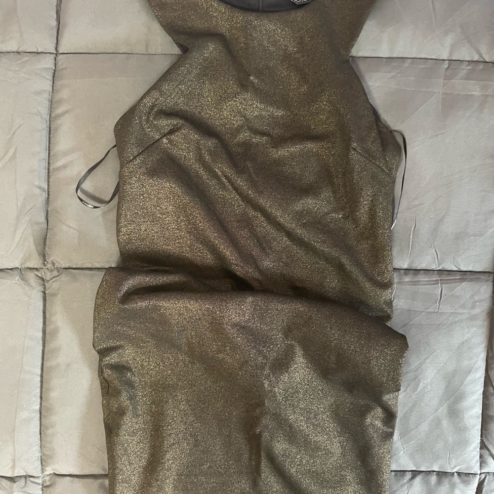 F21 Gold Zip Back Dress